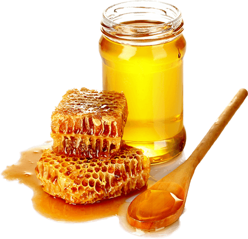 honeypng.parspng.com 7 1